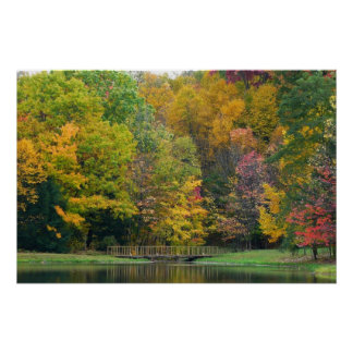 Seven Springs Fall Bridge II Autumn Landscape Poster