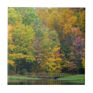 Seven Springs Fall Bridge II Autumn Landscape Tile