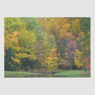 Seven Springs Fall Bridge II Autumn Landscape Tissue Paper