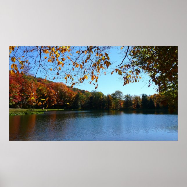 Seven Springs Fall Trees and Pond Poster (Front)