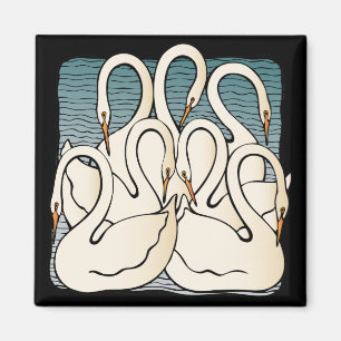 Seven Swans a Swimming Magnet