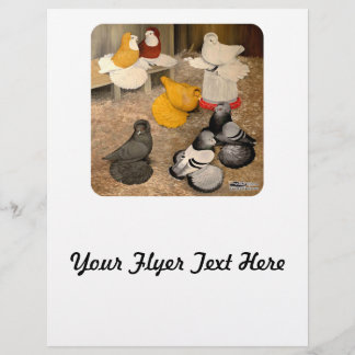 Seven Trumpeter Pigeons Flyer