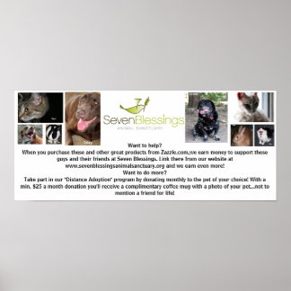 sevenblessings.org poster