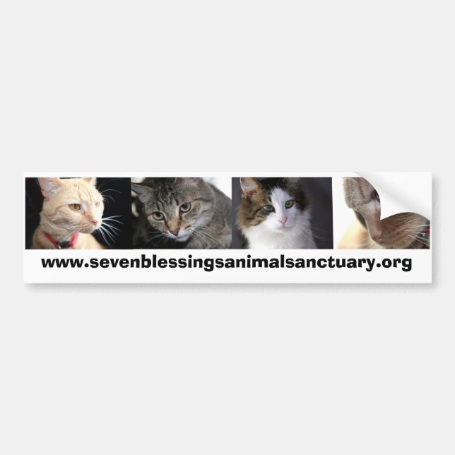 sevenblessingsanimalsanctuary.org bumper sticker (Front)