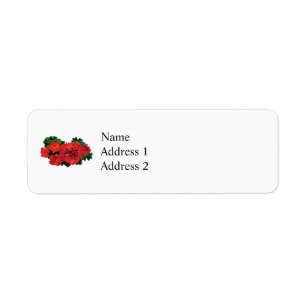 Several Red Geraniums