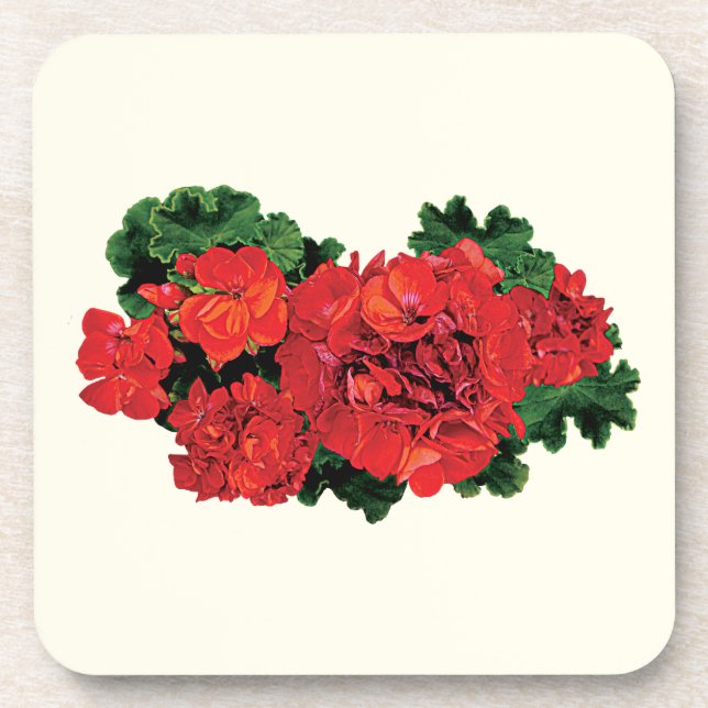 Several Red Geraniums Coaster (Front)