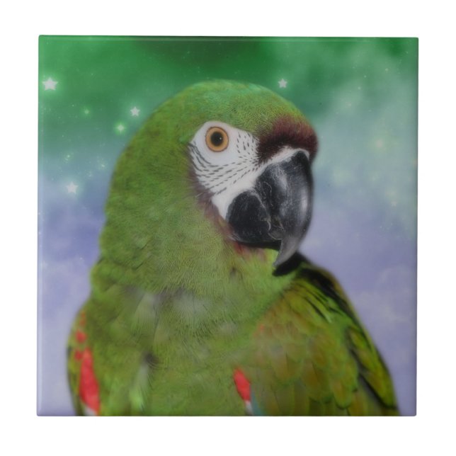 Severe Macaw Parrot Animal Tile (Front)