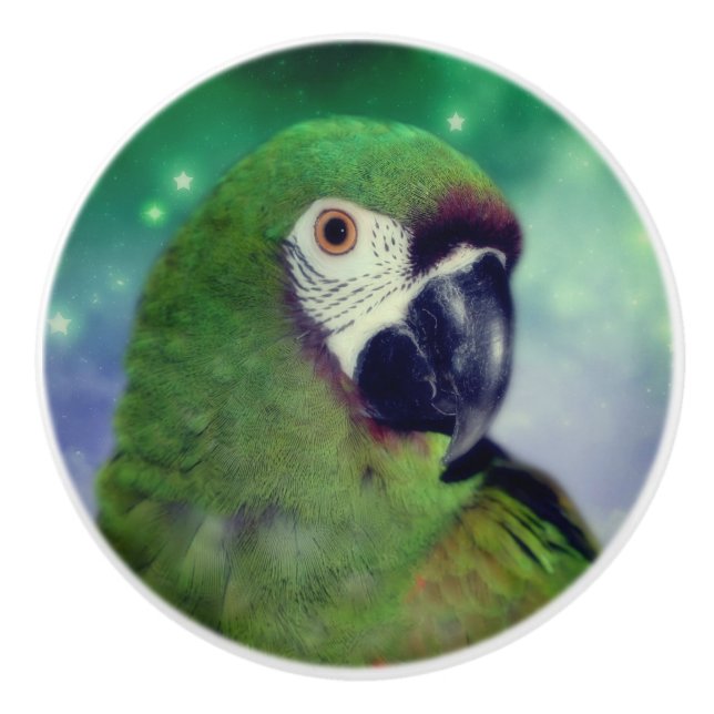 Severe Macaw Parrot Close Up  Ceramic Knob (Front)