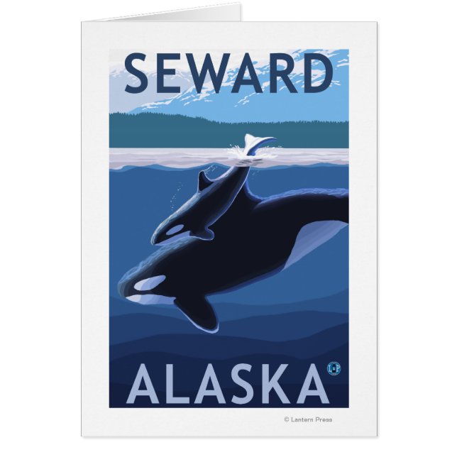 Seward, AlaskaOrca and Calf Scene (Front)