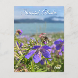 Seward Geranium - Postcard