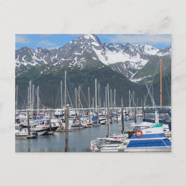 Seward Harbour, Alaska Postcard (Front)