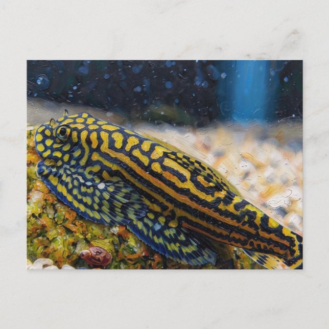 Sewellia lineolata hillstream loach postcard (Front)