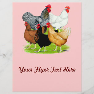 Sex-linked Chickens Quintet Flyer