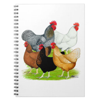 Sex-linked Chickens Quintet Notebook