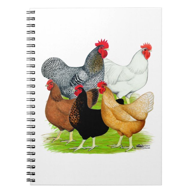 Sex-linked Chickens Quintet Notebook (Front)