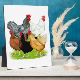 Sex-linked Chickens Quintet Plaque