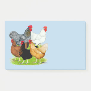 Sex-linked Chickens Quintet Post-it Notes