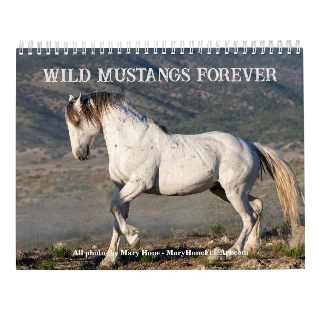 Sexy Stallions 2025 Calendar (Back)