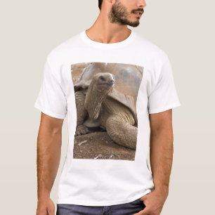 Seychelle Aldabran land tortoise T-Shirt