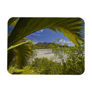 Seychelles, Curieuse Island, Laraie Bay Magnet