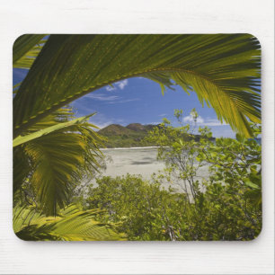 Seychelles, Curieuse Island, Laraie Bay Mouse Pad