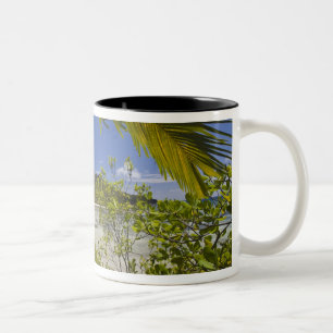 Seychelles, Curieuse Island, Laraie Bay Two-Tone Coffee Mug