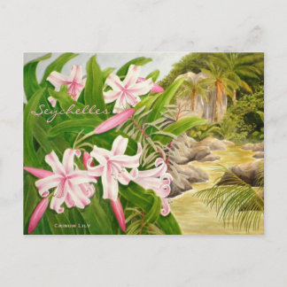 Seychelles Lily Postcard