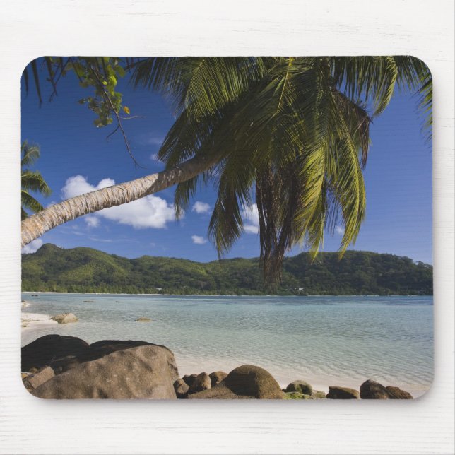 Seychelles, Mahe Island, Anse a la Mouche Mouse Pad (Front)