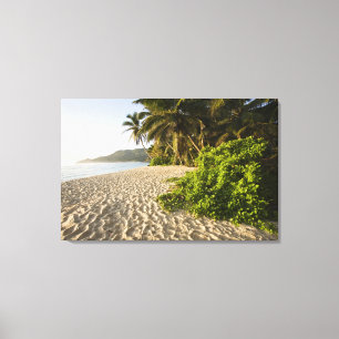 Seychelles, Mahe Island, Anse Marie-Louise Canvas Print