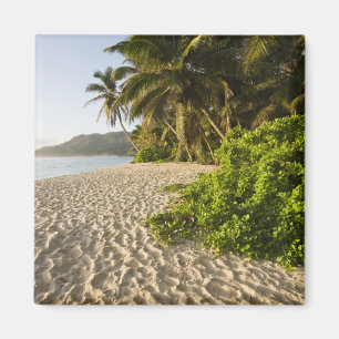 Seychelles, Mahe Island, Anse Marie-Louise Magnet