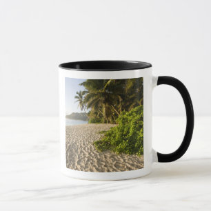 Seychelles, Mahe Island, Anse Marie-Louise Mug