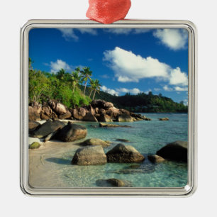 Seychelles, Mahe Island, Anse Royale Beach. 3 Metal Tree Decoration