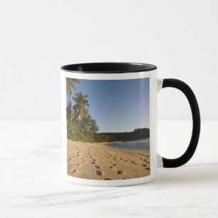 Seychelles, Mahe Island, Anse Takamaka beach, 2 Mug