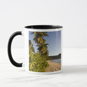 Seychelles, Mahe Island, Anse Takamaka beach, Mug