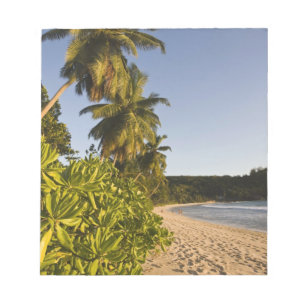 Seychelles, Mahe Island, Anse Takamaka beach, Notepad