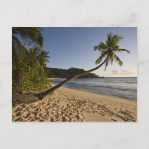 Seychelles, Mahe Island, Anse Takamaka beach, Postcard