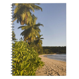 Seychelles, Mahe Island, Anse Takamaka beach, Spiral Notebook