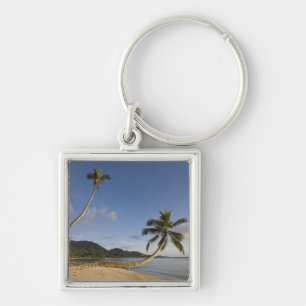 Seychelles, Mahe Island, horizontal palm, Key Ring