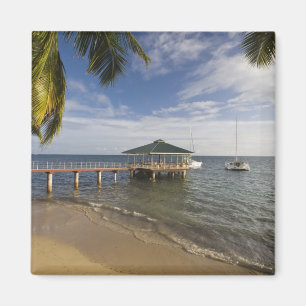 Seychelles, Praslin Island, Anse Bois de Rose, Magnet