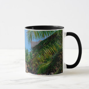 Seychelles – Tropical Wall Art Canvas Print Mug