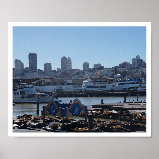 SF City Skyline & Pier 39 Sea Lions #1-2 Poster (Front)