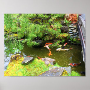 SF Japanese Tea Garden Koi Pond #1 Poster