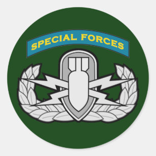 SF Q-tab and EOD badge Classic Round Sticker
