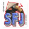 SFJ Monkey Stickers