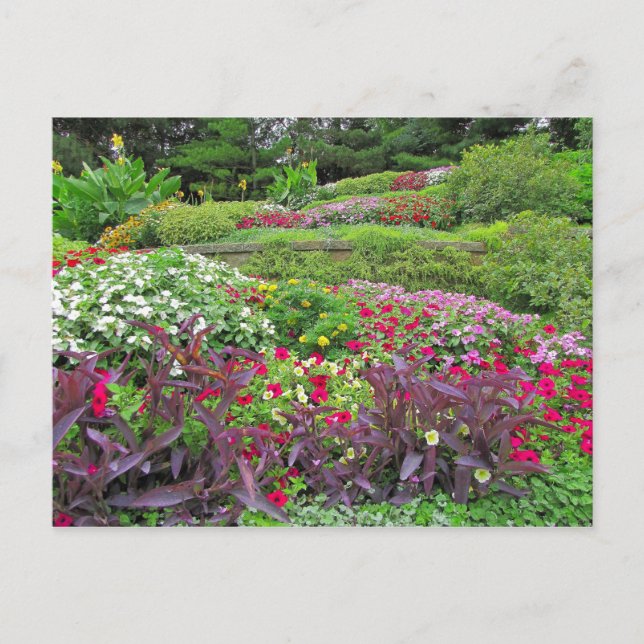 SG Landscape Postcard #40N  040 (Front)