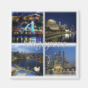 SG * Singapore - Singapore by Night Magnet