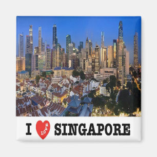 SG - Singapore - Singapore - I Love Magnet