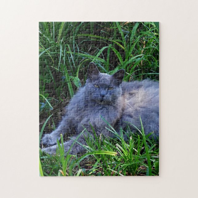 Sgolis Grey Maine Coon Cat Challenging Photo Jigsaw Puzzle (Vertical)