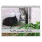 Sgolis Original Cat Photography Calendar
