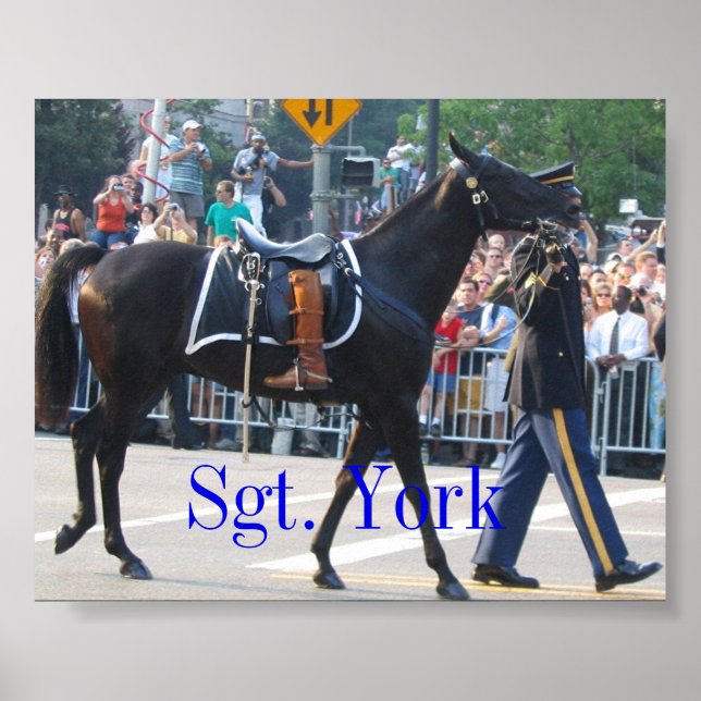 Sgt. York The Riderless Horse Poster (Front)